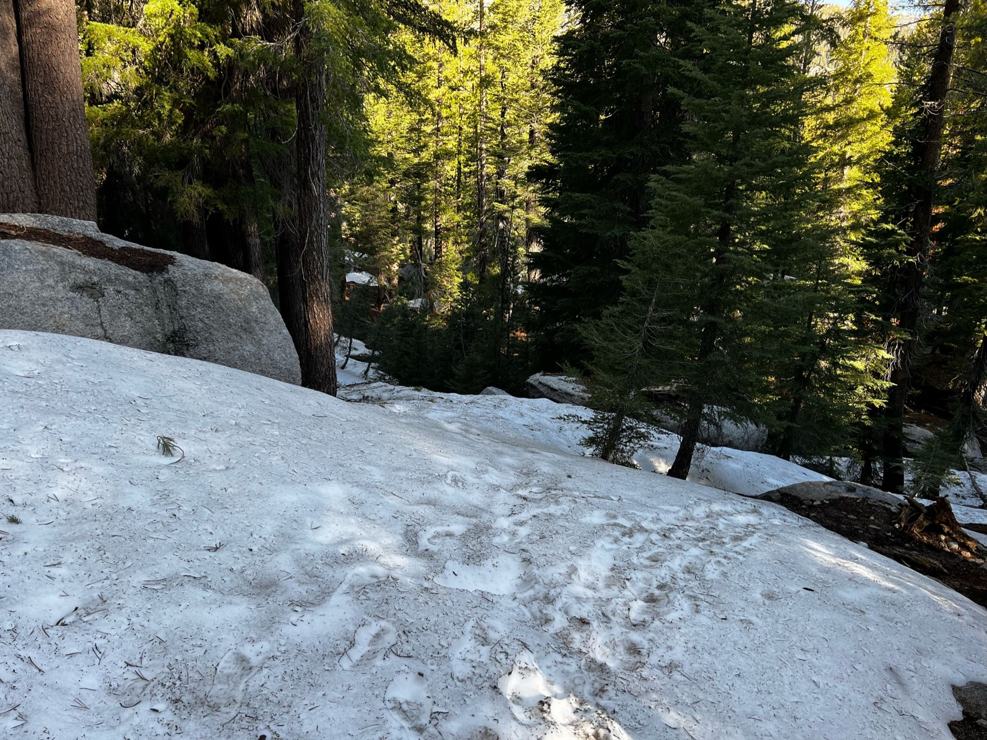 Getting Lost in the Yosemite Wilderness